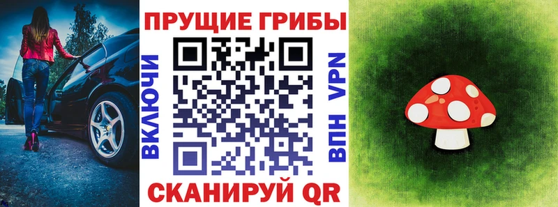 OMG рабочий сайт  Урюпинск  Псилоцибиновые грибы Cubensis  наркотики 